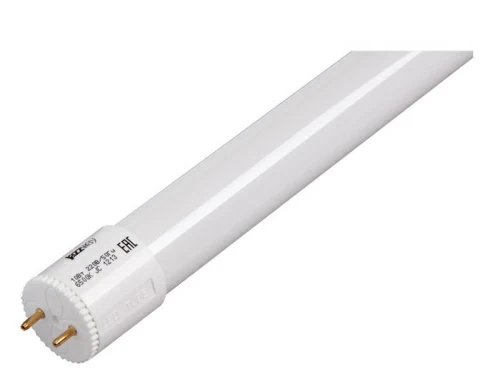Лампа светодиодная PLED T8 - 1500GL 24Вт FROST 6500K 230V/50Hz Jazzway
