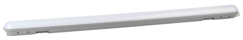 Светильник ДСП SPP-2-36-6K-M IP65 1200х76х66 36Вт 3200Лм 6500К матовый ЭРА