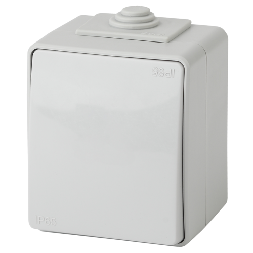 Переключатель ЭРА Эксперт 11-1603-03 IP65 10АХ-250В ОУ серый