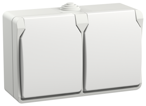 Розетка 2-местная с заземлением для открытой установки 16А IP54 РСб22-3-ФБ белый FORS IEK