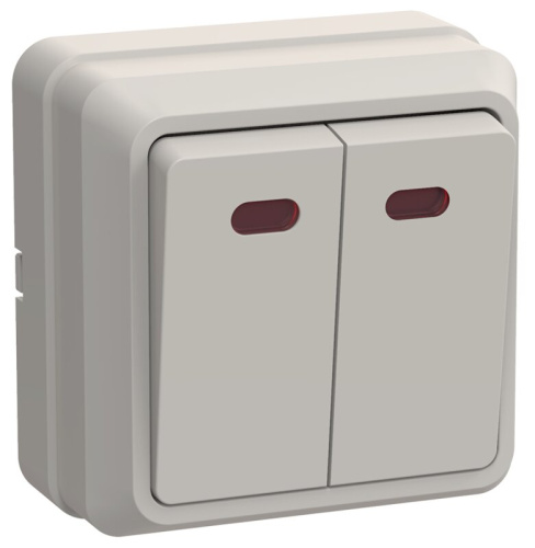 Выключатель 2-клавишный с индикацией для открытой установки 10А ВС20-2-1-ОКм кремовый OKTAVA GENERIC
