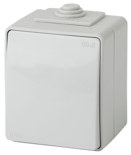 Выключатель ЭРА Эксперт 11-1602-03 с подсветкой IP65 10АХ-250В ОУ серый