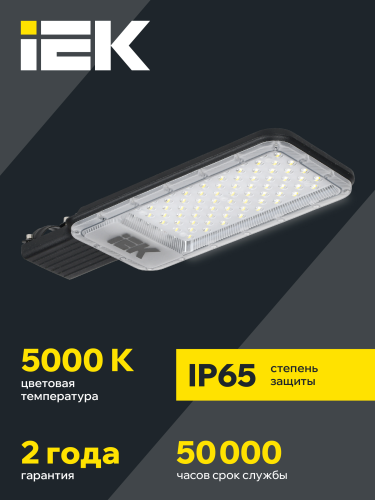 Светильник светодиодный консольный ДКУ 1011-100Ш 5000К IP65 IEK