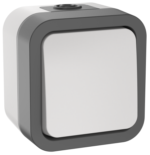 Переключатель одноклавишный 10А IP55 TS201 серо-белый TORS IEK