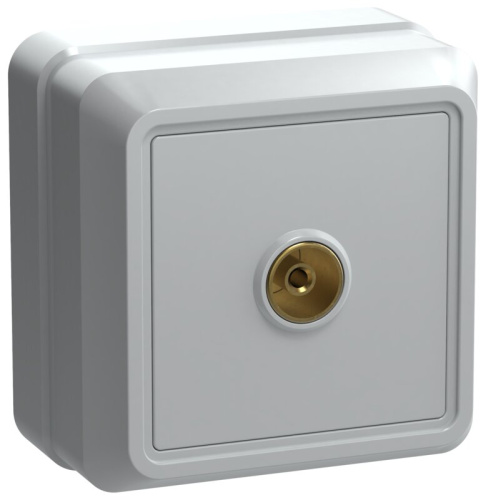 Розетка 1-местная TV для открытой установки РТВ20-ОБ белый OKTAVA GENERICA