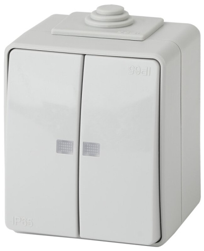 Выключатель ЭРА Эксперт 11-1605-03 двойной с подсветкой IP65 10АХ-250В ОУ серый