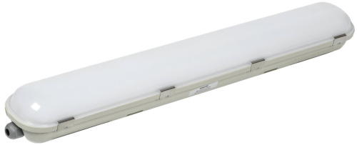 Светильник ДСП 1421 20Вт 6500К IP65 600мм PRO IEK