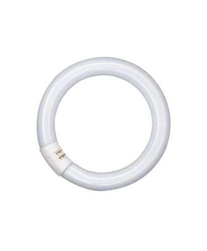 Лампа люминесцентная кольцевая L 22W/840 C G10Q 12X1 EN OSRAM