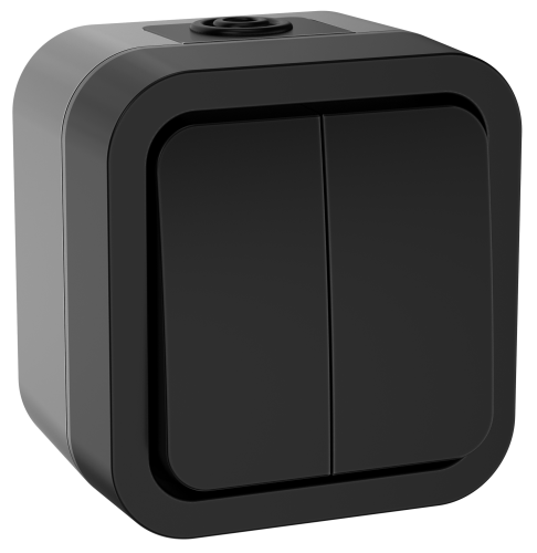 Выключатель двухклавишный 10А IP55 TS105 графит TORS IEK