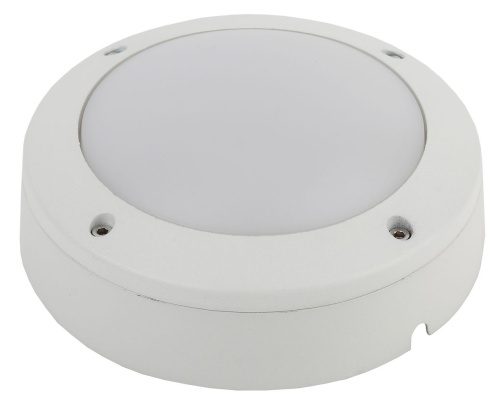 Светильник ЖКХ светодиодный ЭРА SPB-7-12-R антивандальный IP65 12Вт 1140Лм 5000К D145 КРУГ