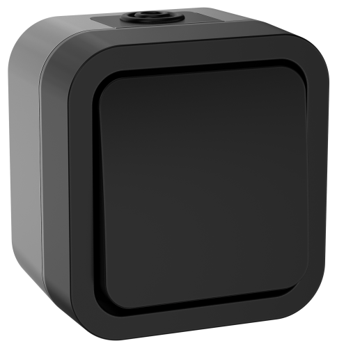 Переключатель одноклавишный 10А IP55 TS101 графит TORS IEK